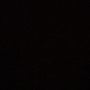 Meet your Posher, Nora